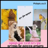 עץ ריח ממותג עם תמונה 3 יחידות- PickPic פיקפיק הדפסה על מוצרים
