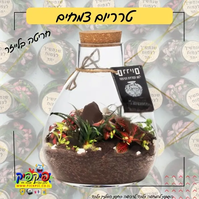 טרריום צמחים מתנה מושלמת- PickPic פיקפיק הדפסה על מוצרים